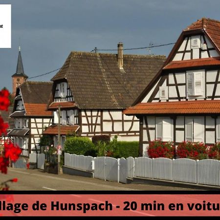 Ferienwohnung Duplex - Le Cosy - Hyper Centre Hagenau Exterior foto