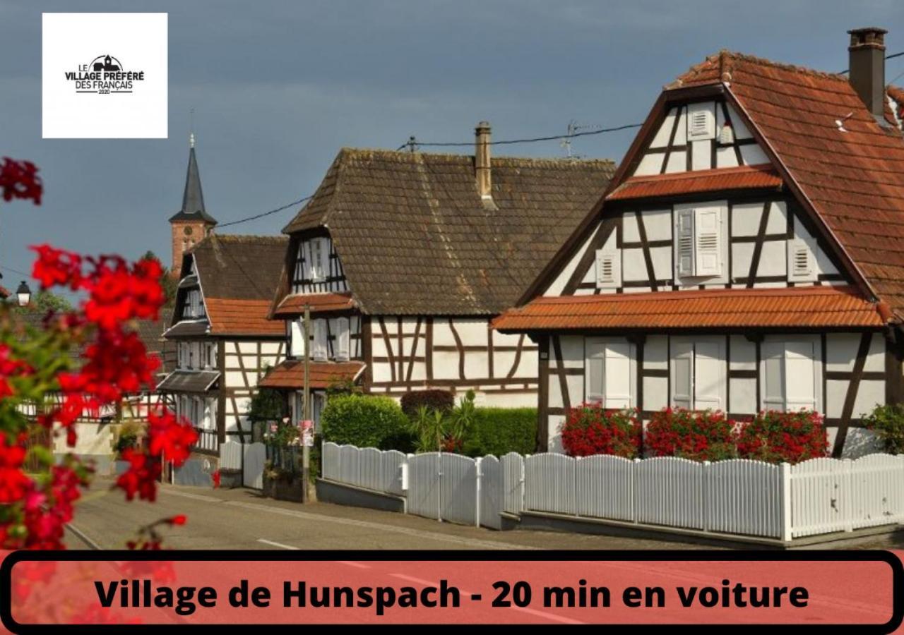 Ferienwohnung Duplex - Le Cosy - Hyper Centre Hagenau Exterior foto